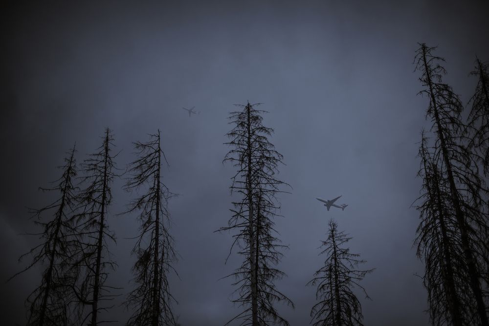 Photograph by Инна Фокина