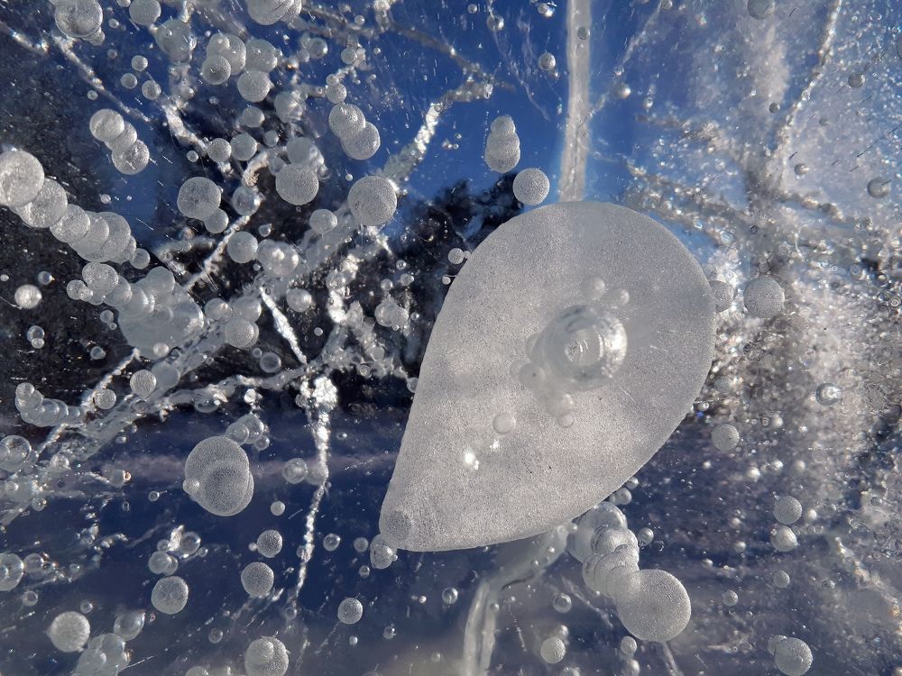 Photograph by Фролова Диляра