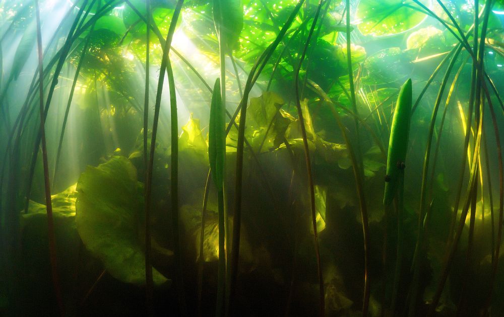 Обратная сторона реки.