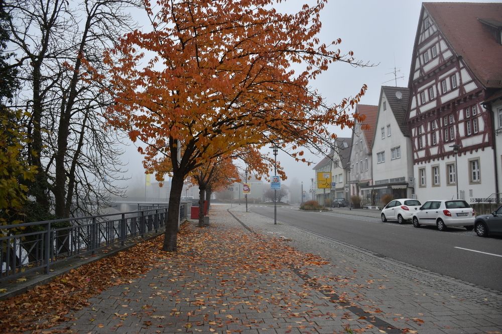 Photograph by Людмила Комарова