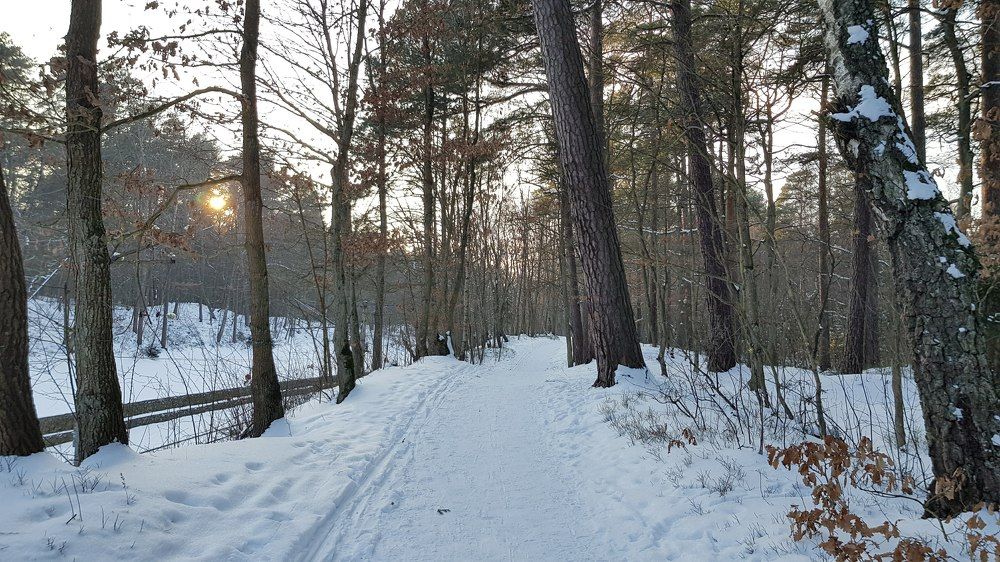 Photograph by Людмила Комарова