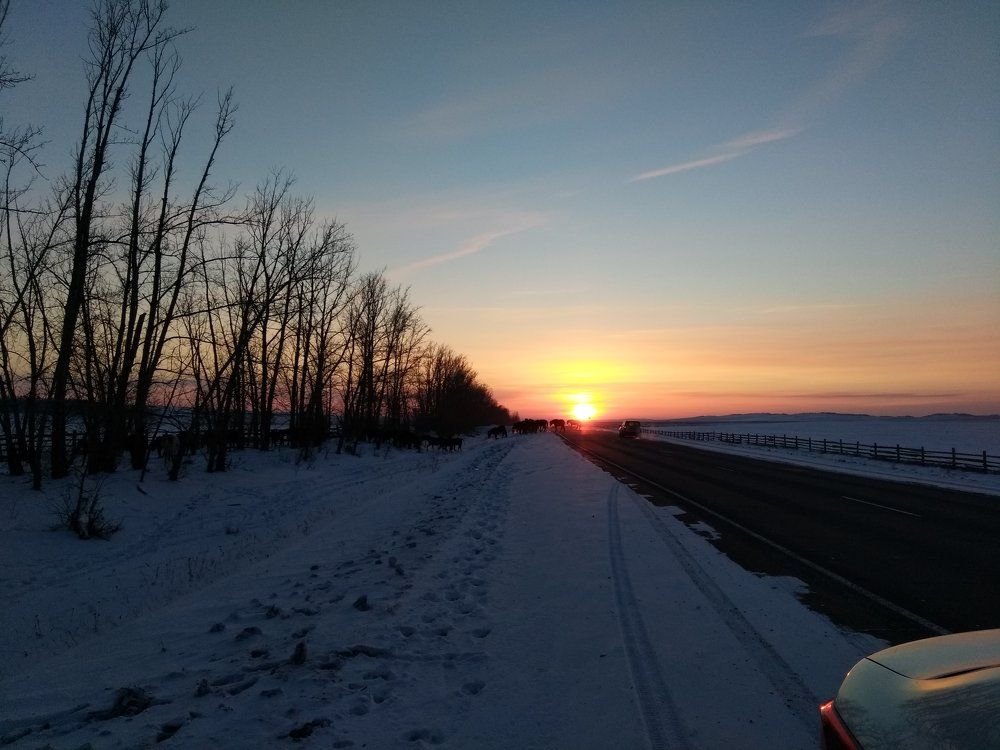 Photograph by Любовь Осипова