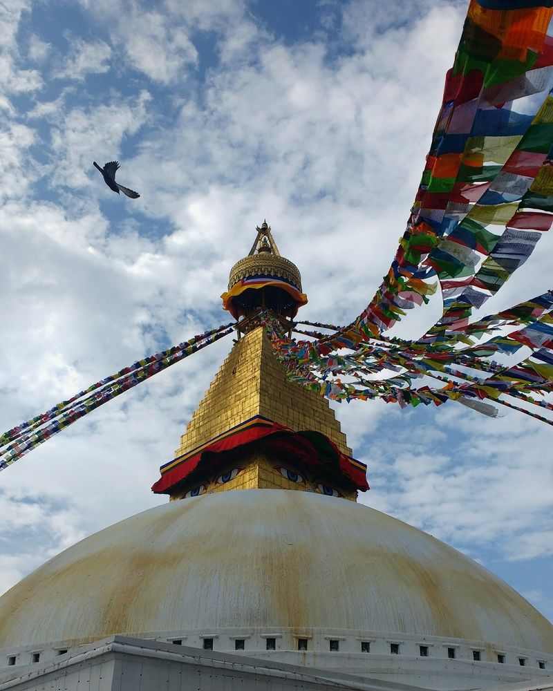 Photograph by Sajib Shahi
