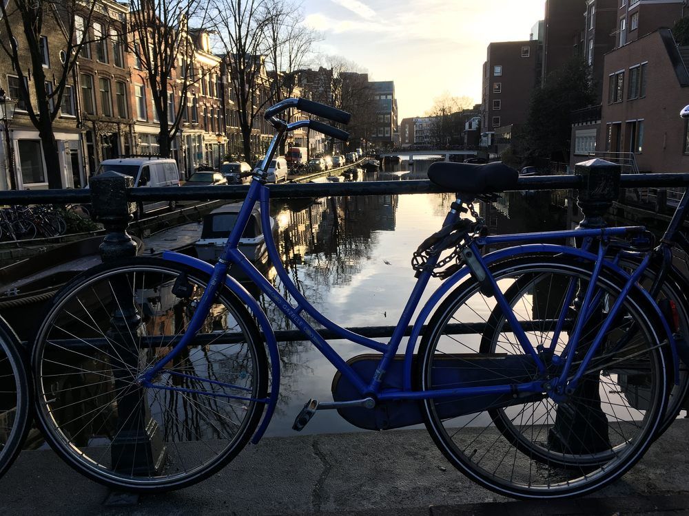 The natural of Amsterdam