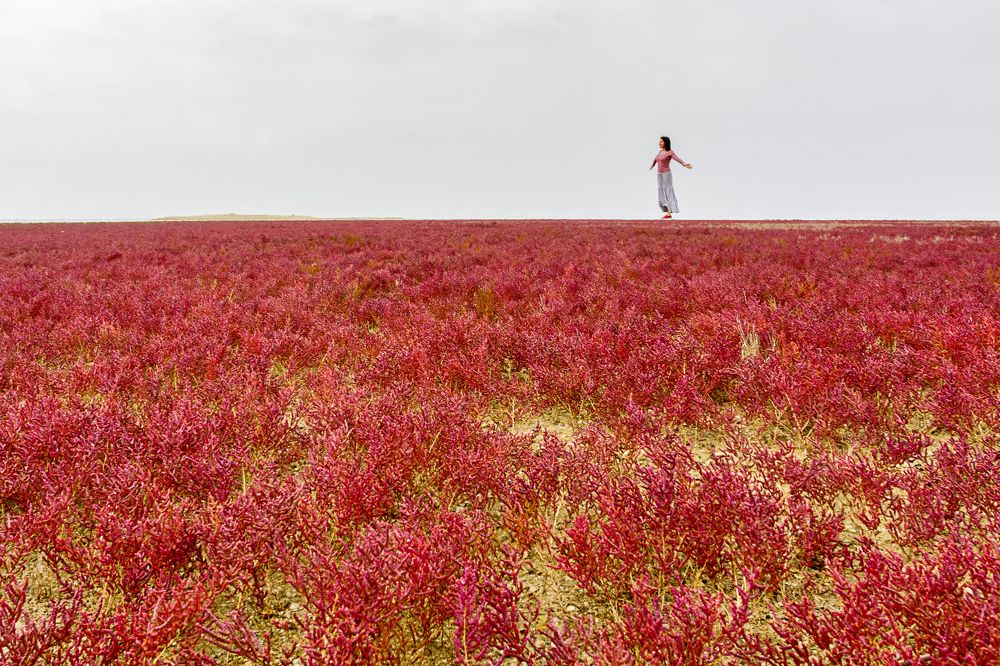 Полет в красном