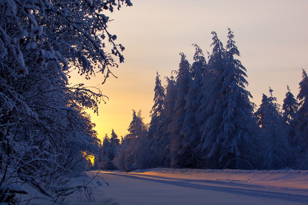 Январские утро