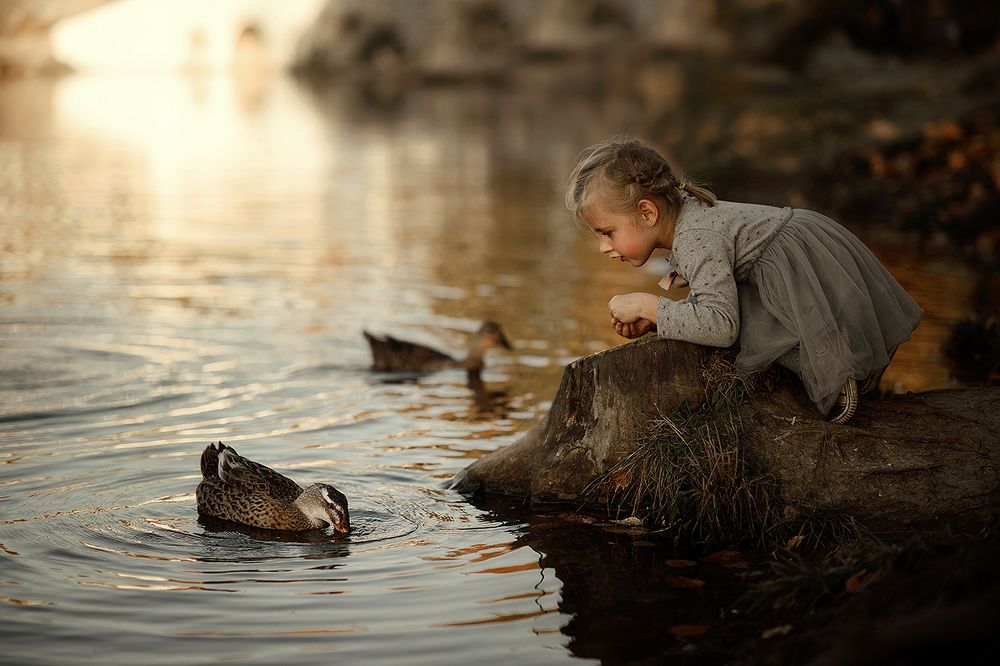 Мир, который я Люблю