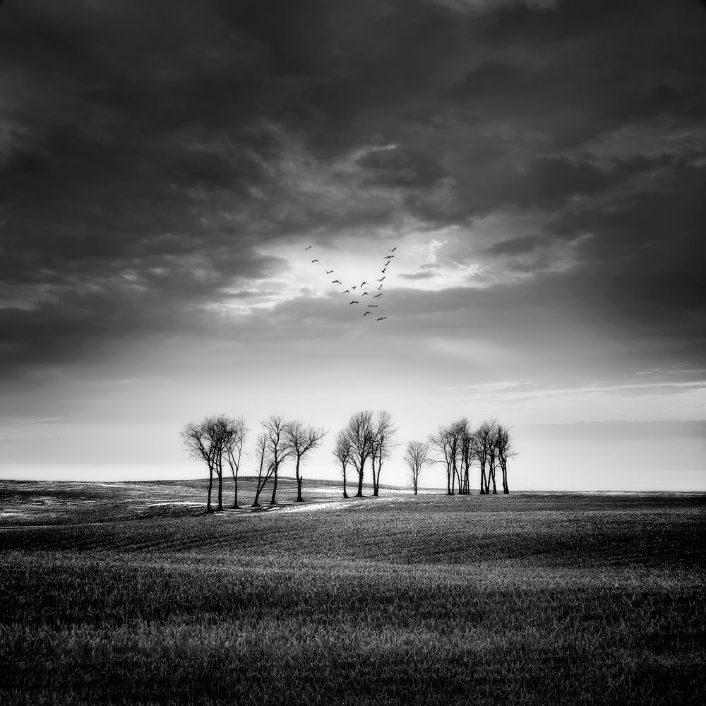 Someone will never take off...