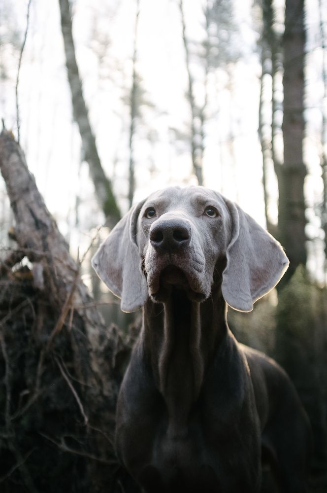 Photograph by Александра Липкина