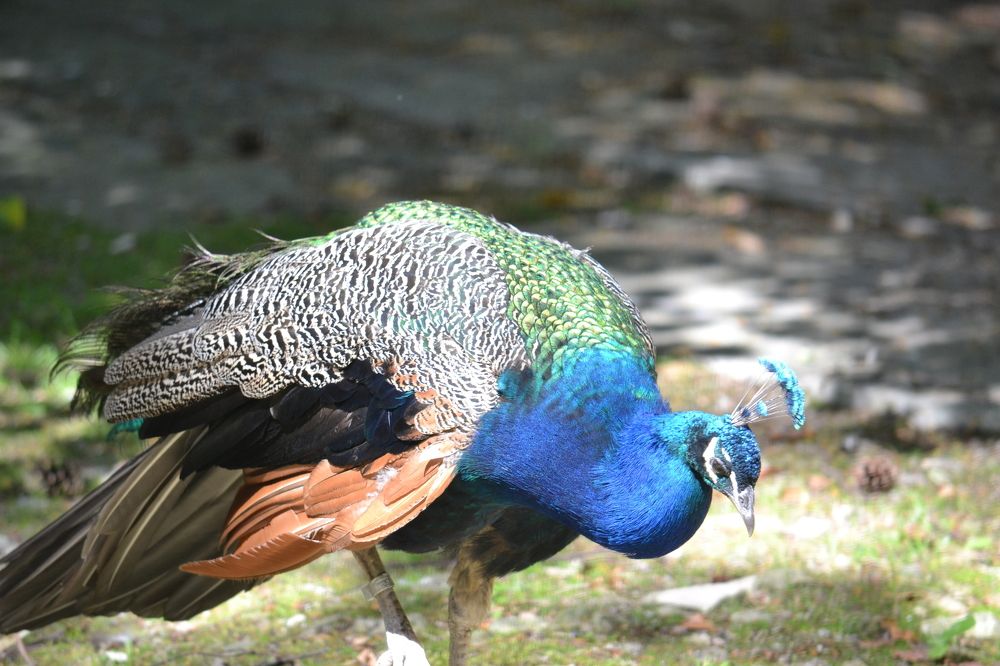 Photograph by Игорь Лебедев