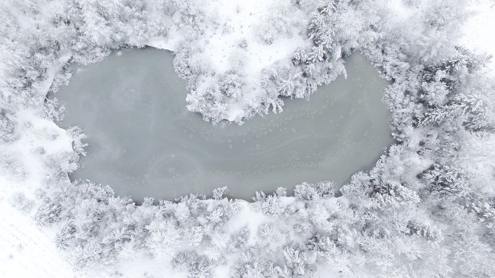 Photograph by Егор Хмелевский