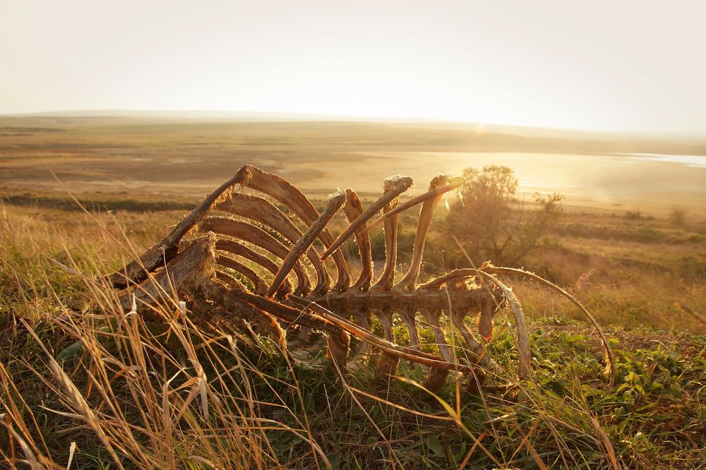 Добро пожаловать