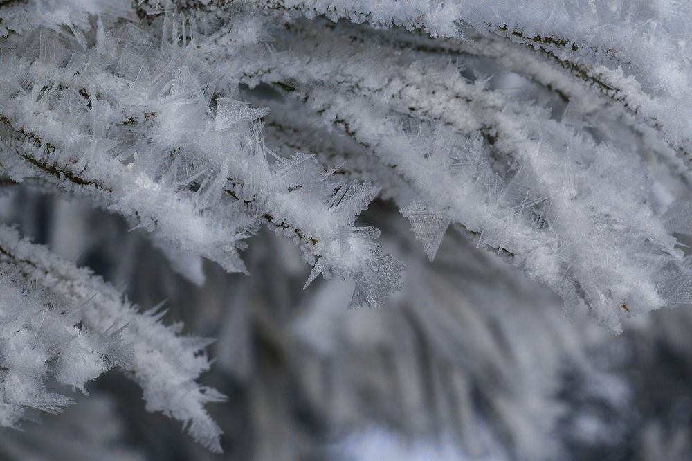 ледяная шубка