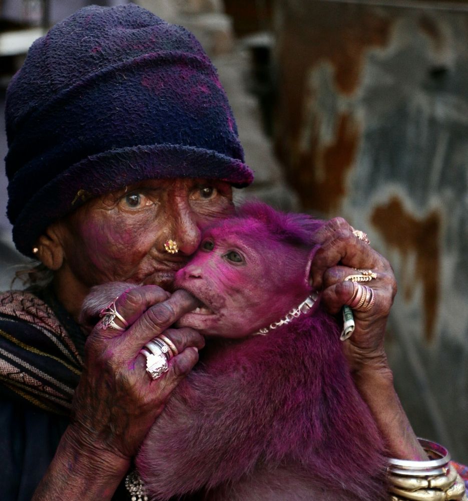 The coloured animals!