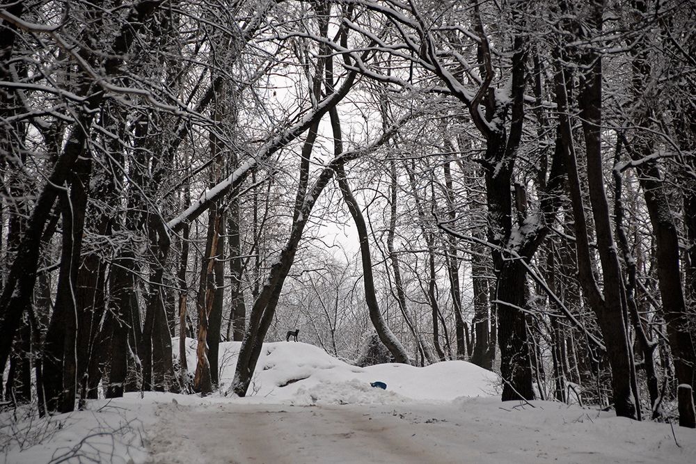 ОДИНОЧЕСТВО