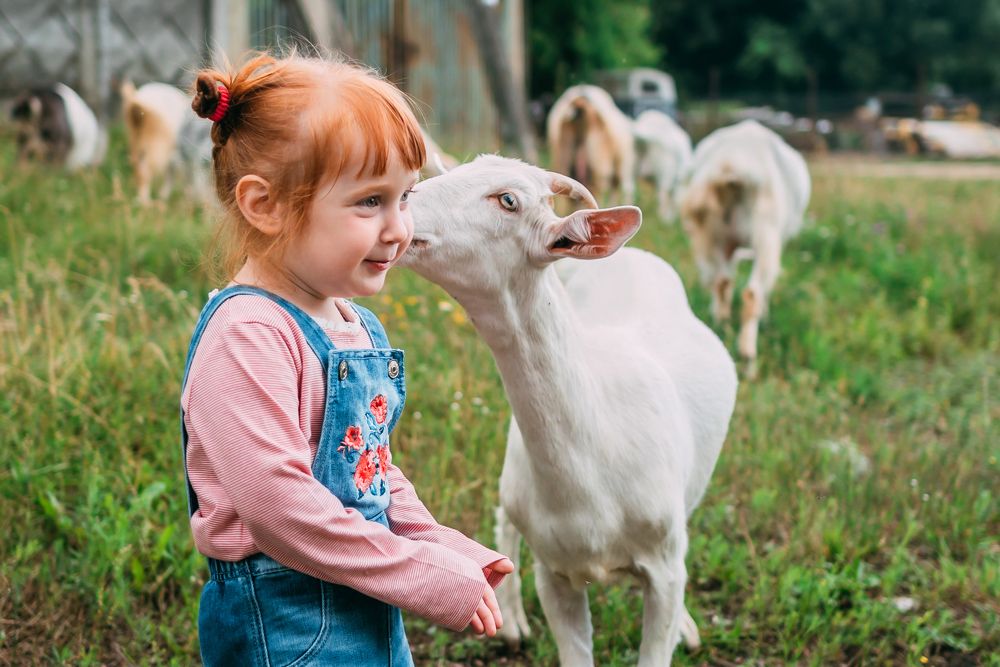 Фотография автора Дарья Шевченко