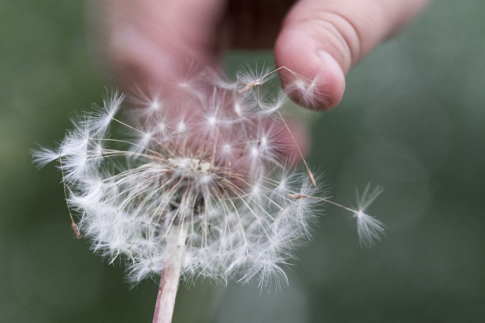 Отправила в полет