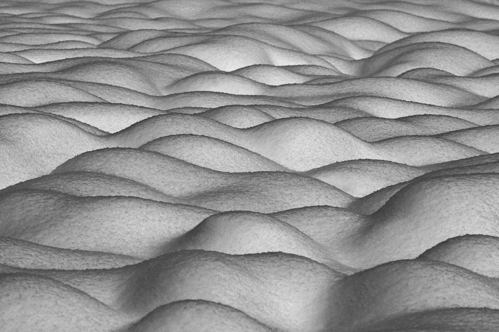 Кочки на болоте