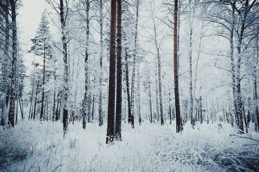 Photograph by Екатерина Корчик