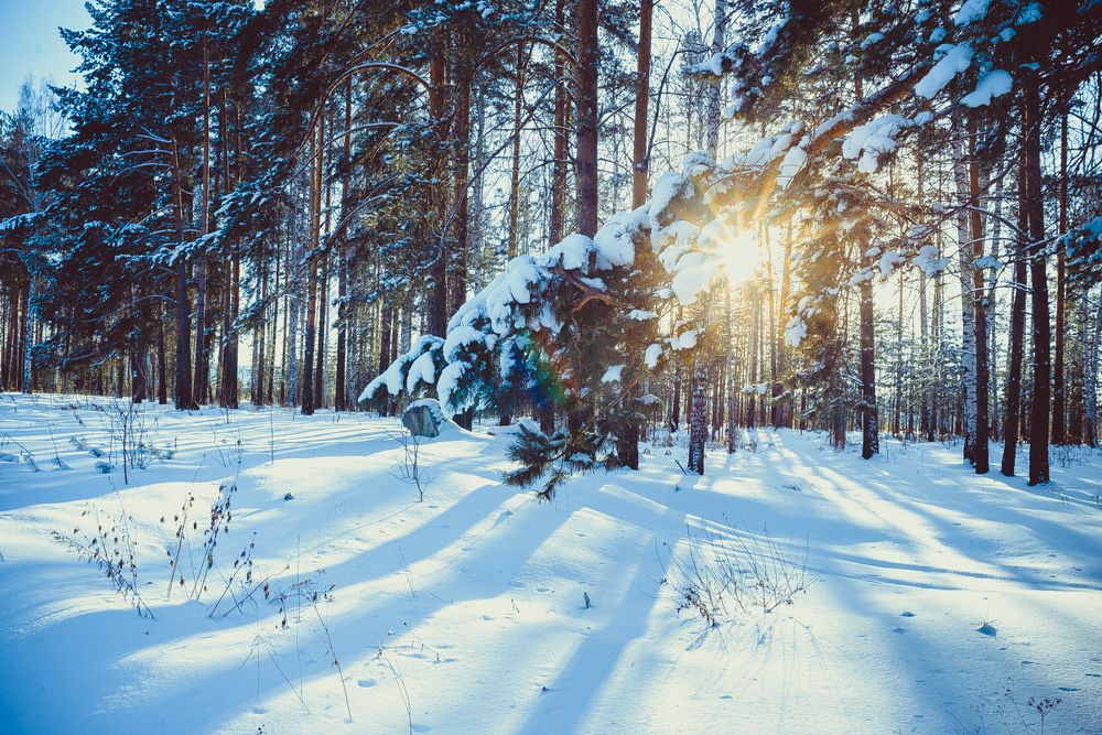 Photograph by Екатерина Корчик