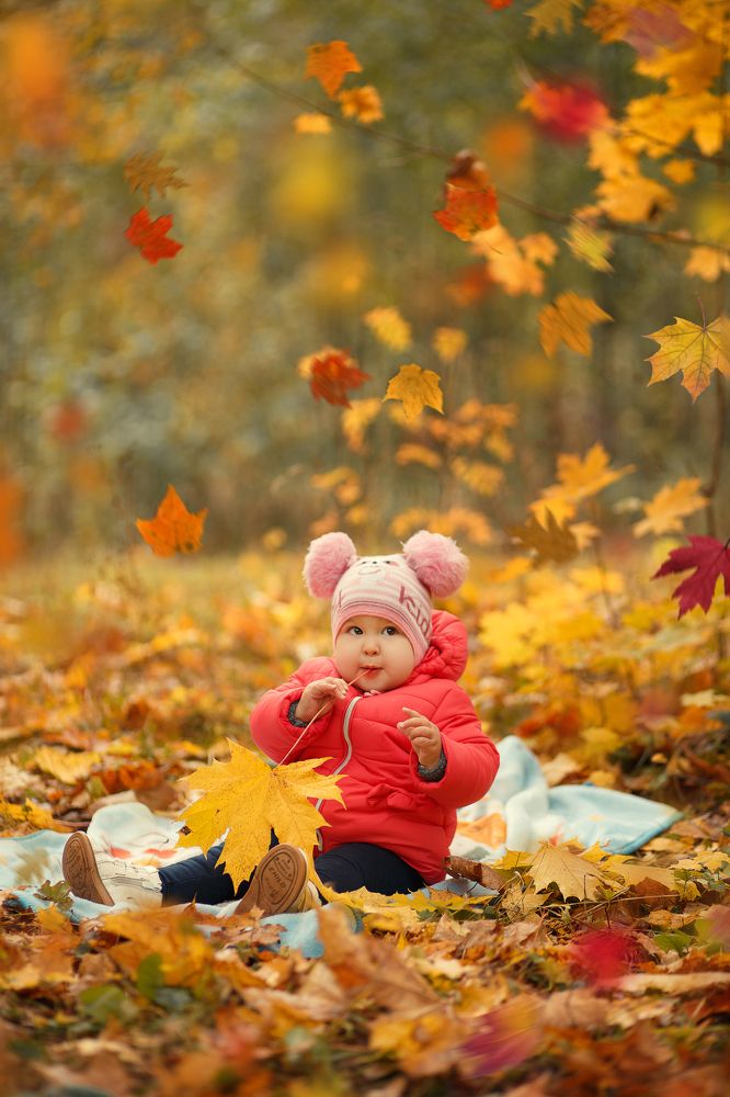 Познаем осень