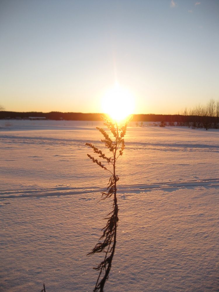 Photograph by Светлана Капитонова