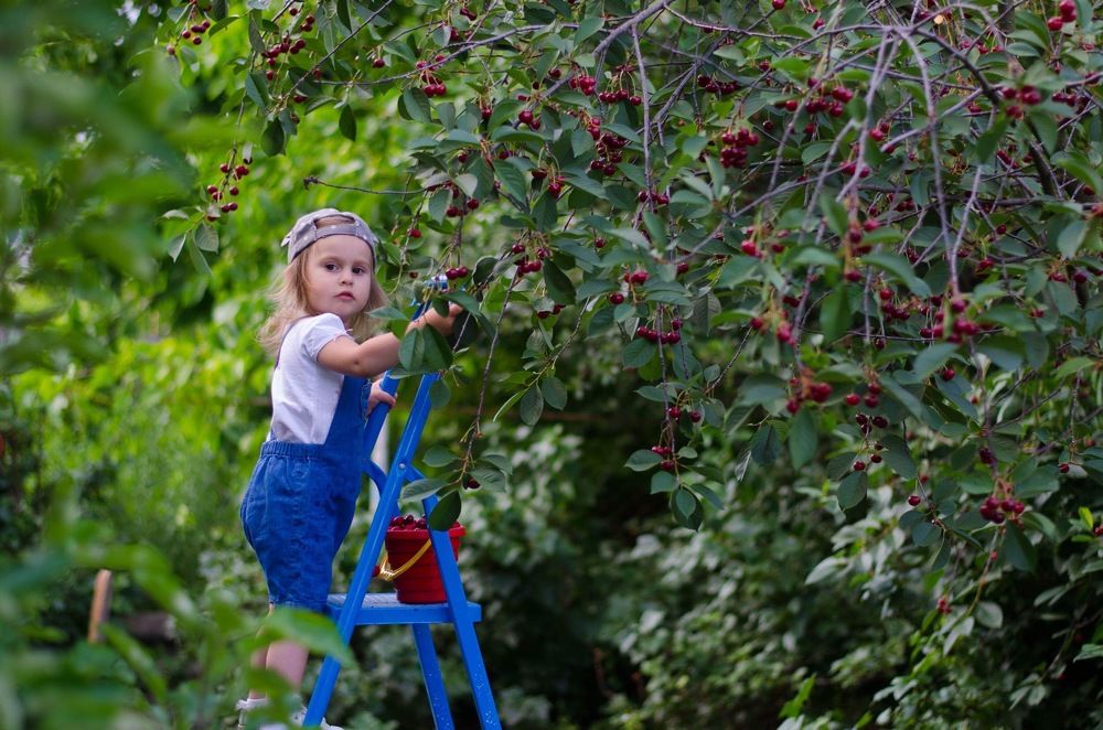 Мамина помощница