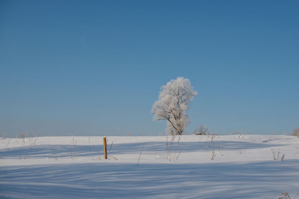 Перекличка