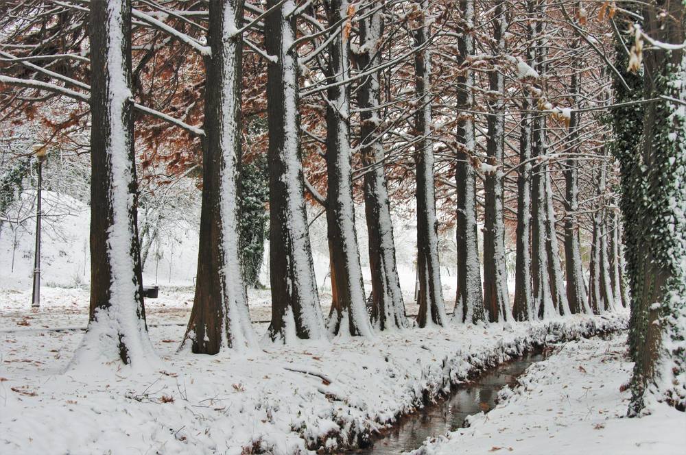 Winter