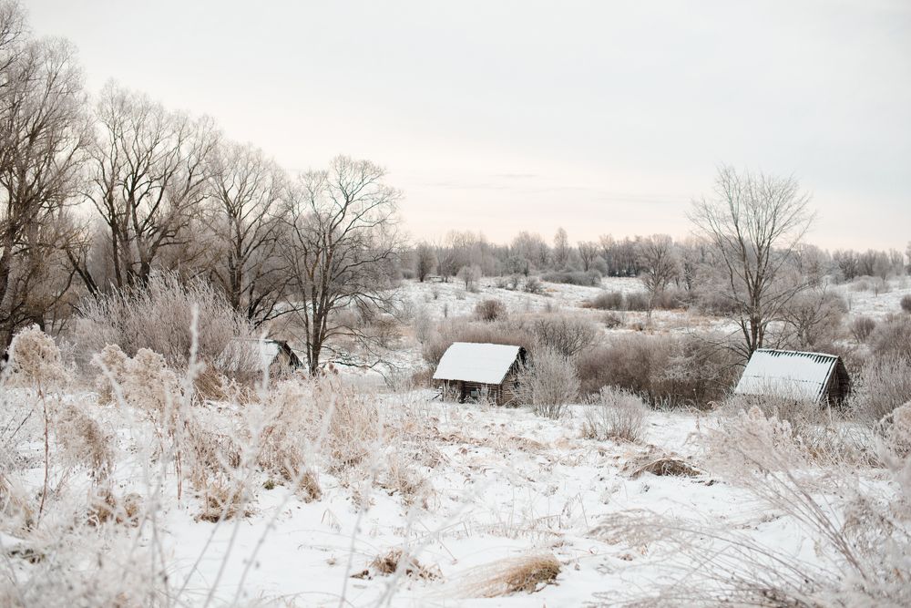 Баньки выстроились в ряд