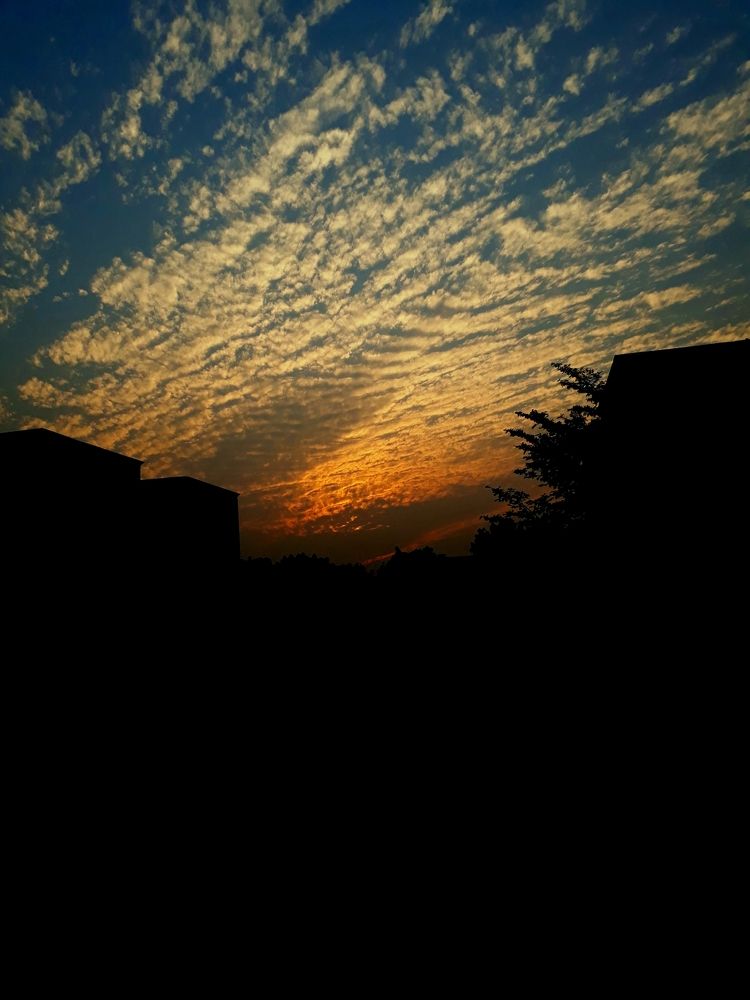 Sun set