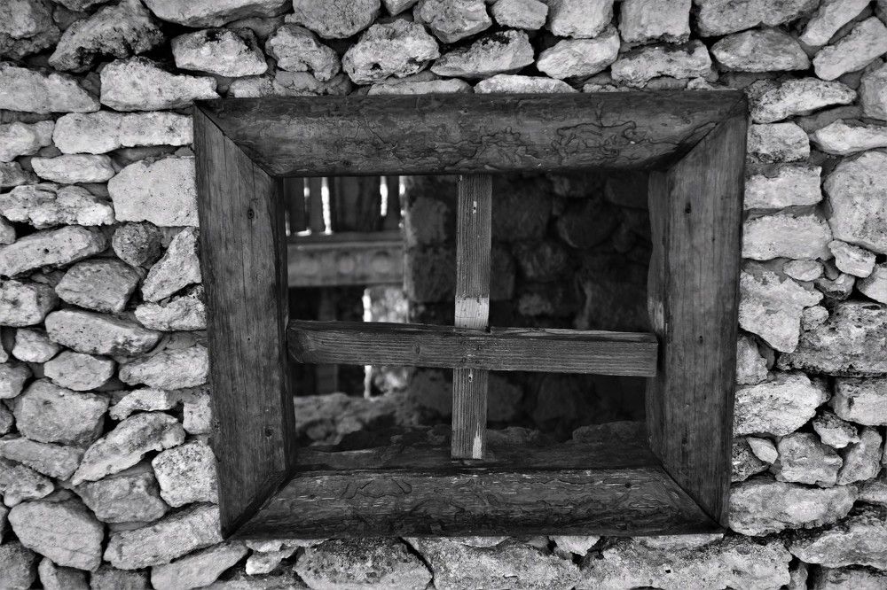 Photograph by Alisa Black