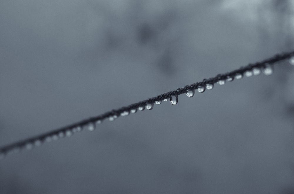 Photograph by Alisa Black