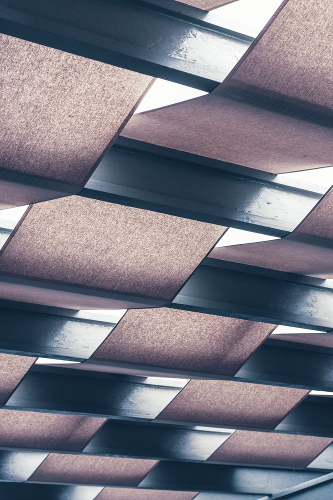 Photograph by Alisa Black