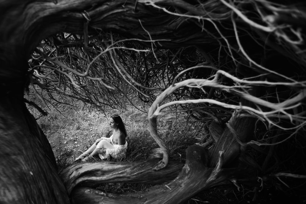 Песнь Дриады