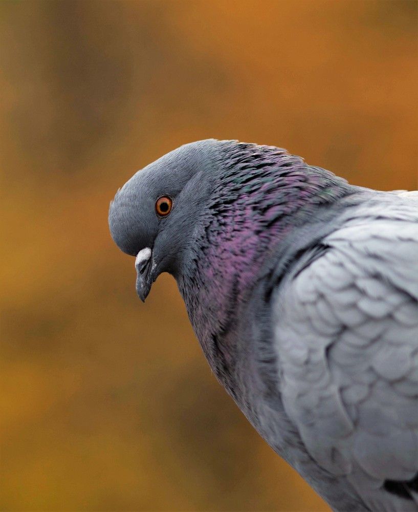 Photograph by Anna Novak