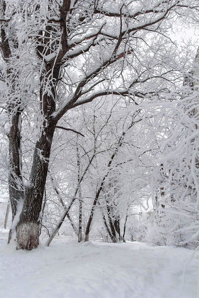 Photograph by Ирина Решетникова