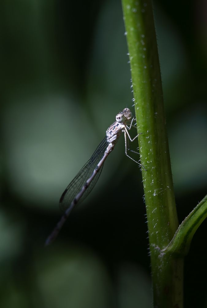 Photograph by Юрий Лисовой