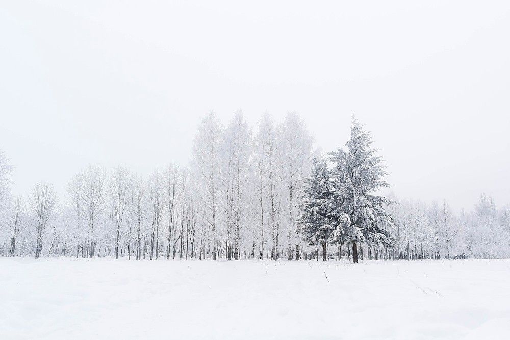 Photograph by Ирина Решетникова