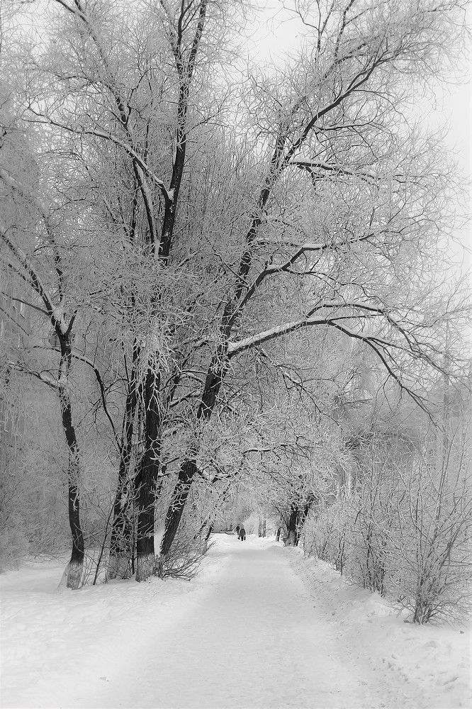 Photograph by Ирина Решетникова