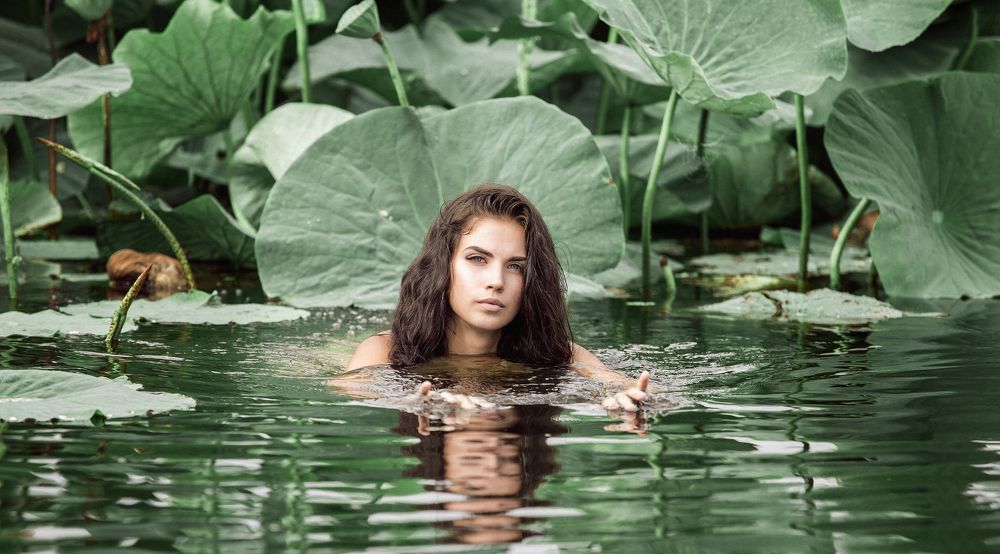 Озеро лотосов