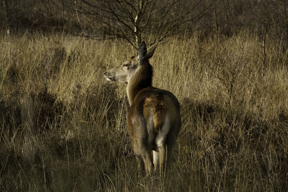 Warm winter in England