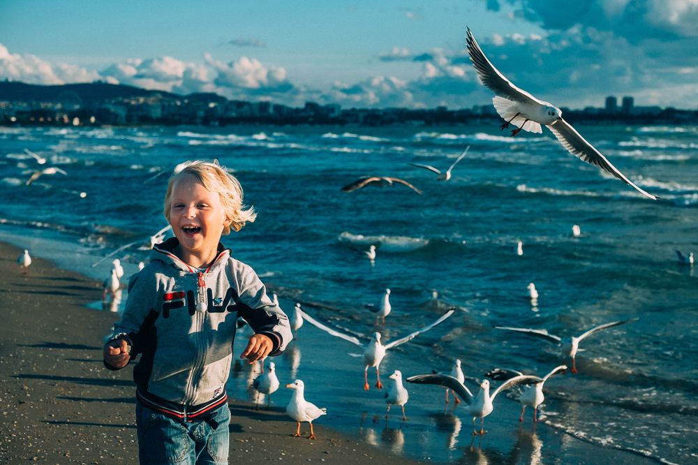 Полетели - побежали