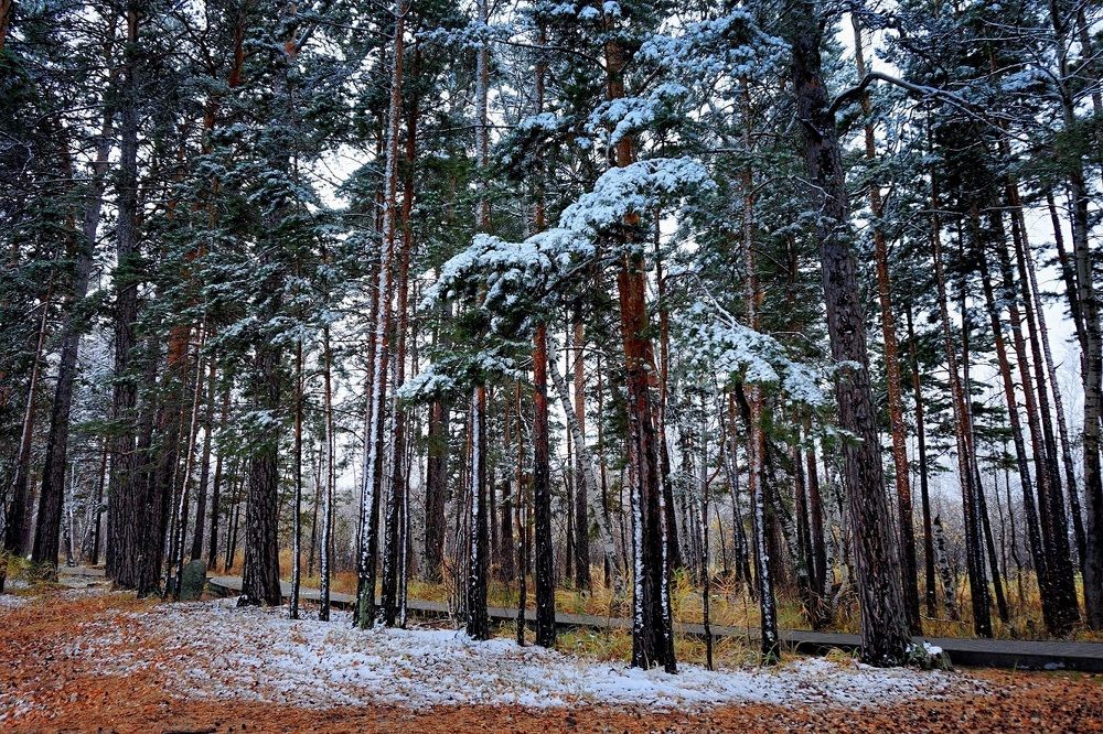 Боровое.  Осень