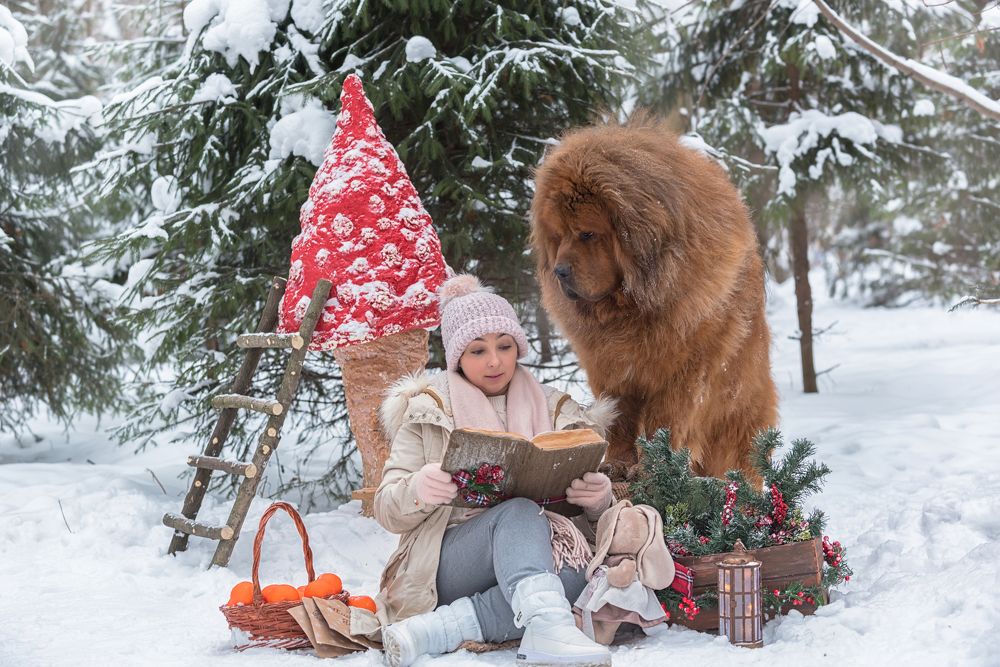 Photograph by Елена Ивонина