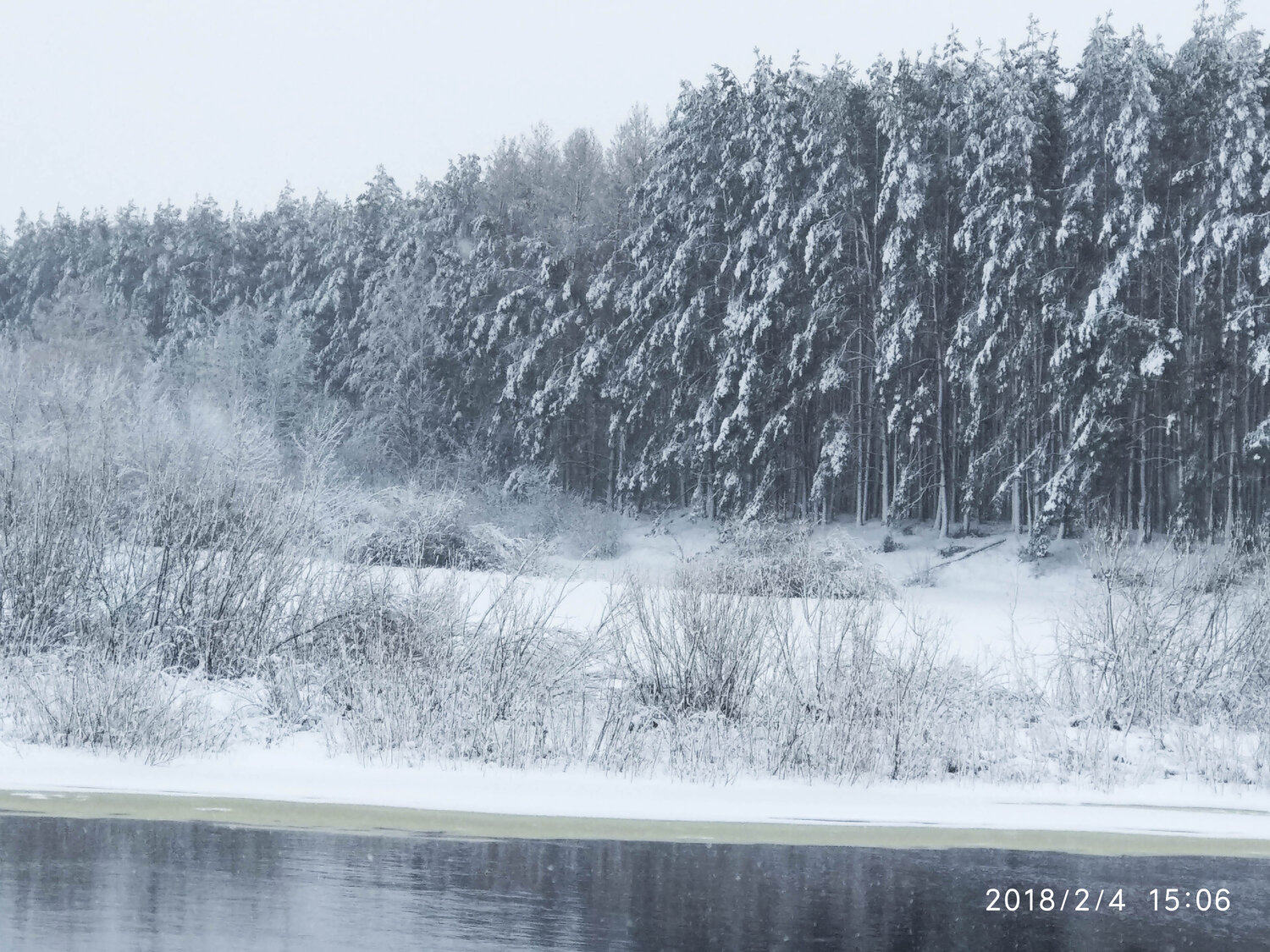 Photo #2950418