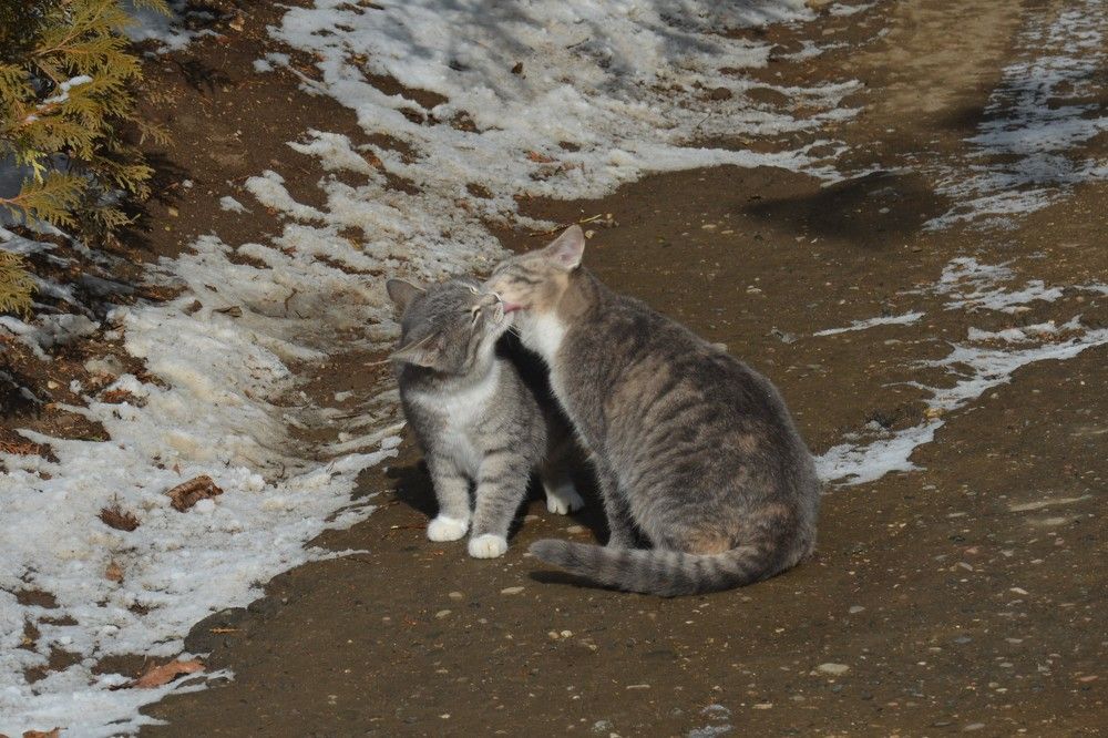 Photograph by Анатолий Зеленский