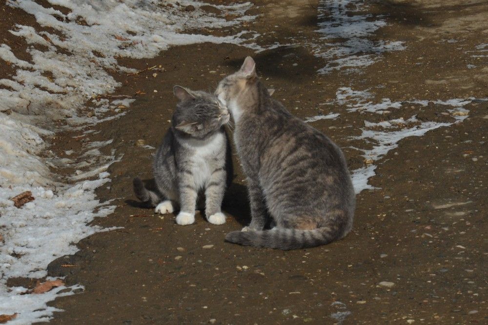 Photograph by Анатолий Зеленский