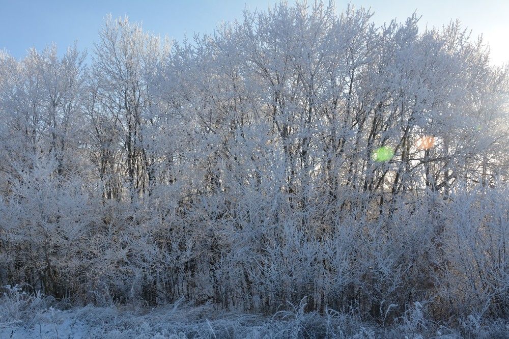 Photograph by Анатолий Зеленский