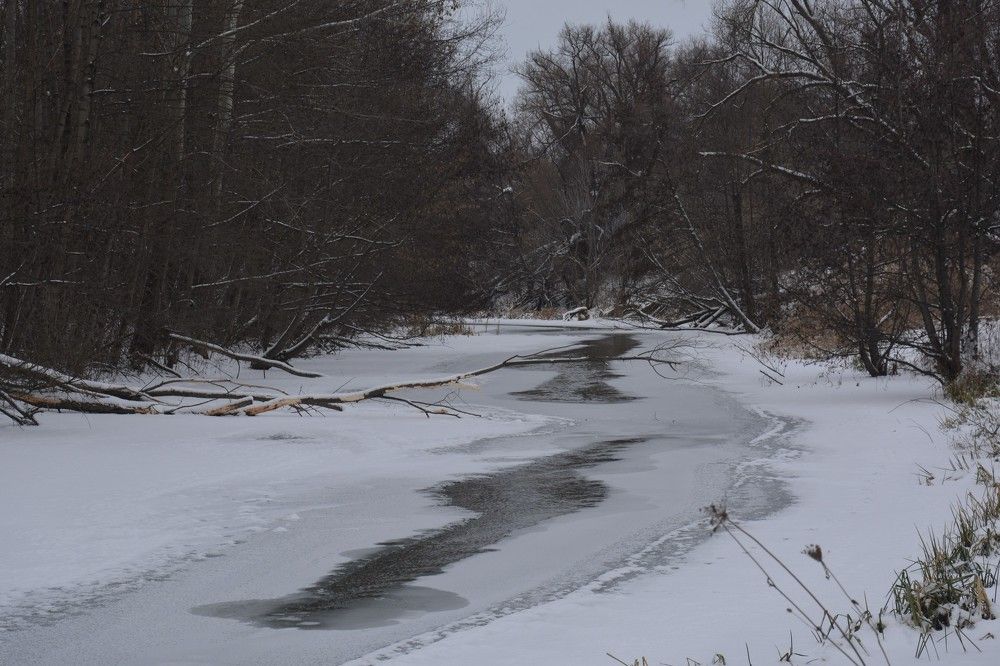 Photograph by Анатолий Зеленский